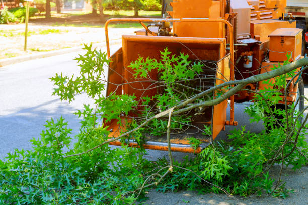 Best Pest Control for Lawns  in Moyie Springs, ID