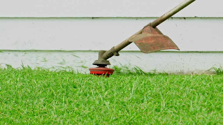 Best Sod Installation  in Moyie Springs, ID